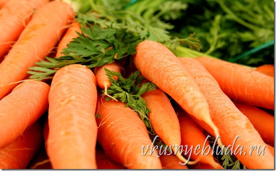 На этом фото изображён вкусный, сочный, наполненный здоровьем морковный корешок - столь любимая сегодня всеми Сладкая Морковка...